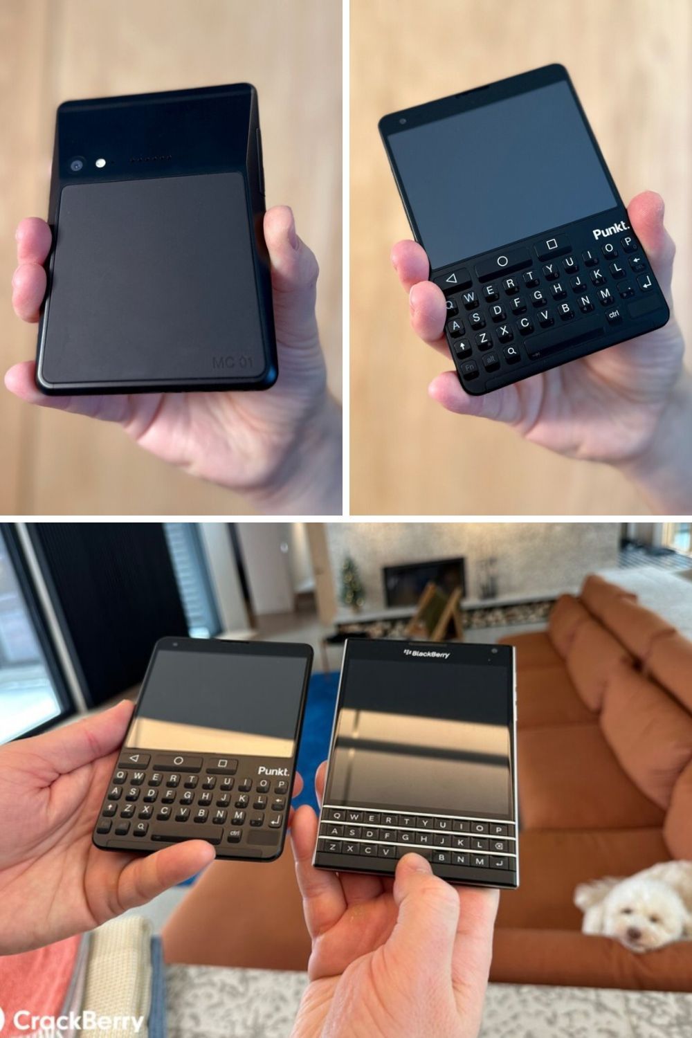 THIS CUTE BLACKBERRY-LIKE PHONE IS SOMETHING SOME MIGHT WISH THEY COULD BUY